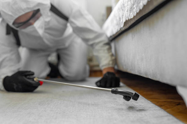 Professional Bed Bug Control technician working in South River, NJ