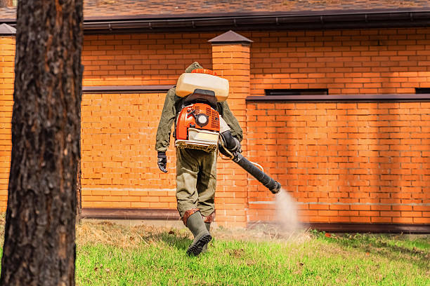 Trusted Fumigation Services service in South River, NJ - Nex Pest Control